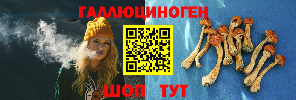Псилоцибиновые грибы Cubensis  Вход с VPN  Кумертау 